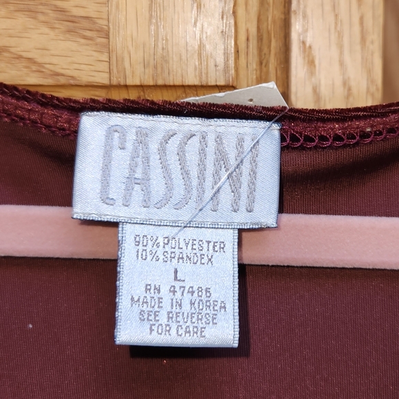 Cassini Burgundy Maxi Dress Short Sleeves Silky Velvet Texture - Picture 7 of 7